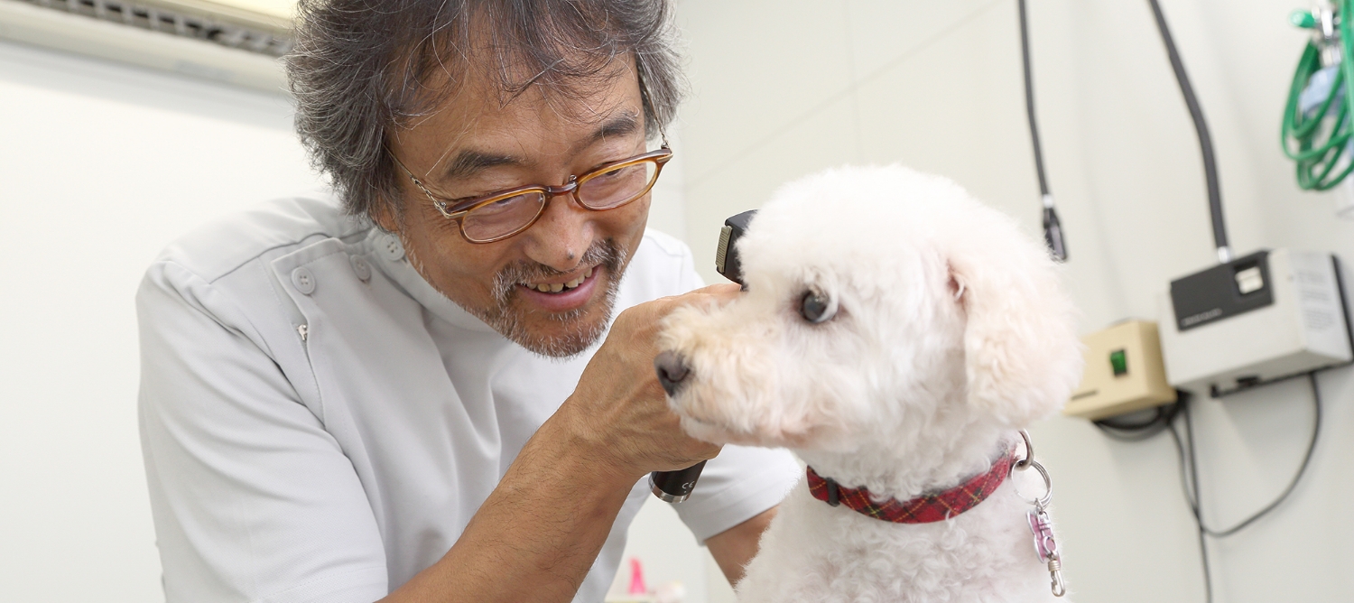 加藤どうぶつ病院コンパニオンアニマルケアセンター
