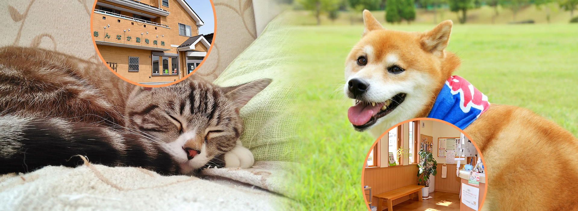 あんなか動物病院