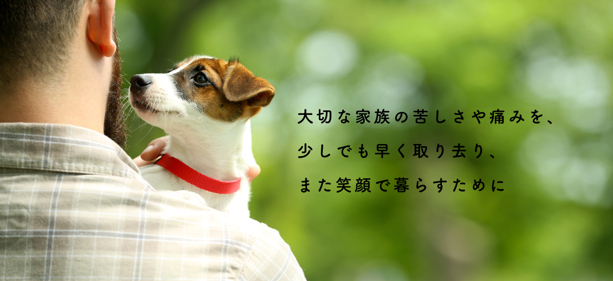 近江八幡どうぶつ病院