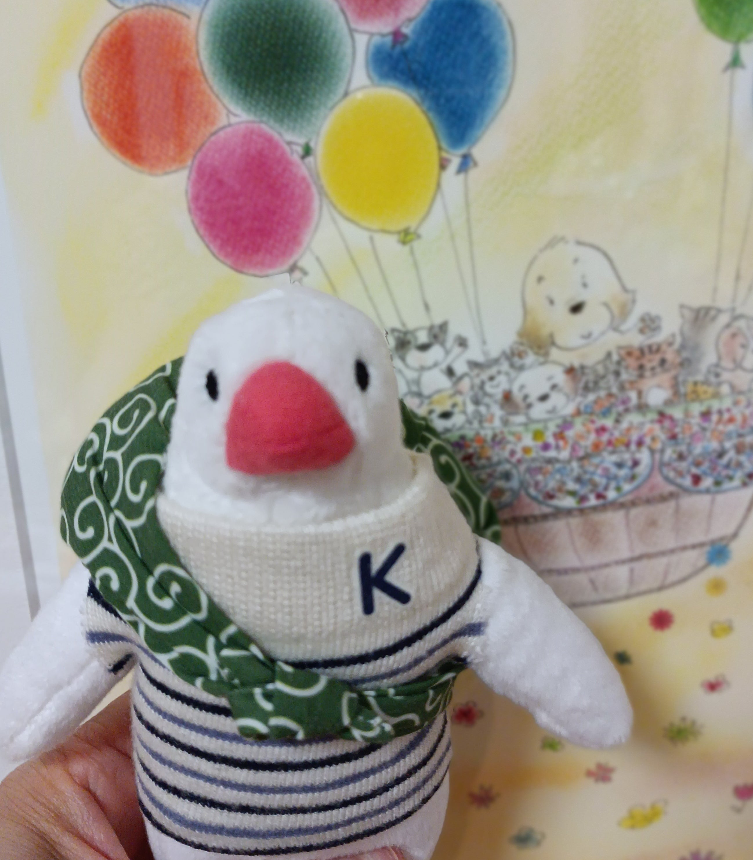 カルミア小鳥の病院