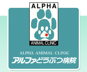 アルファどうぶつ病院