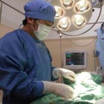 はるにれ動物病院