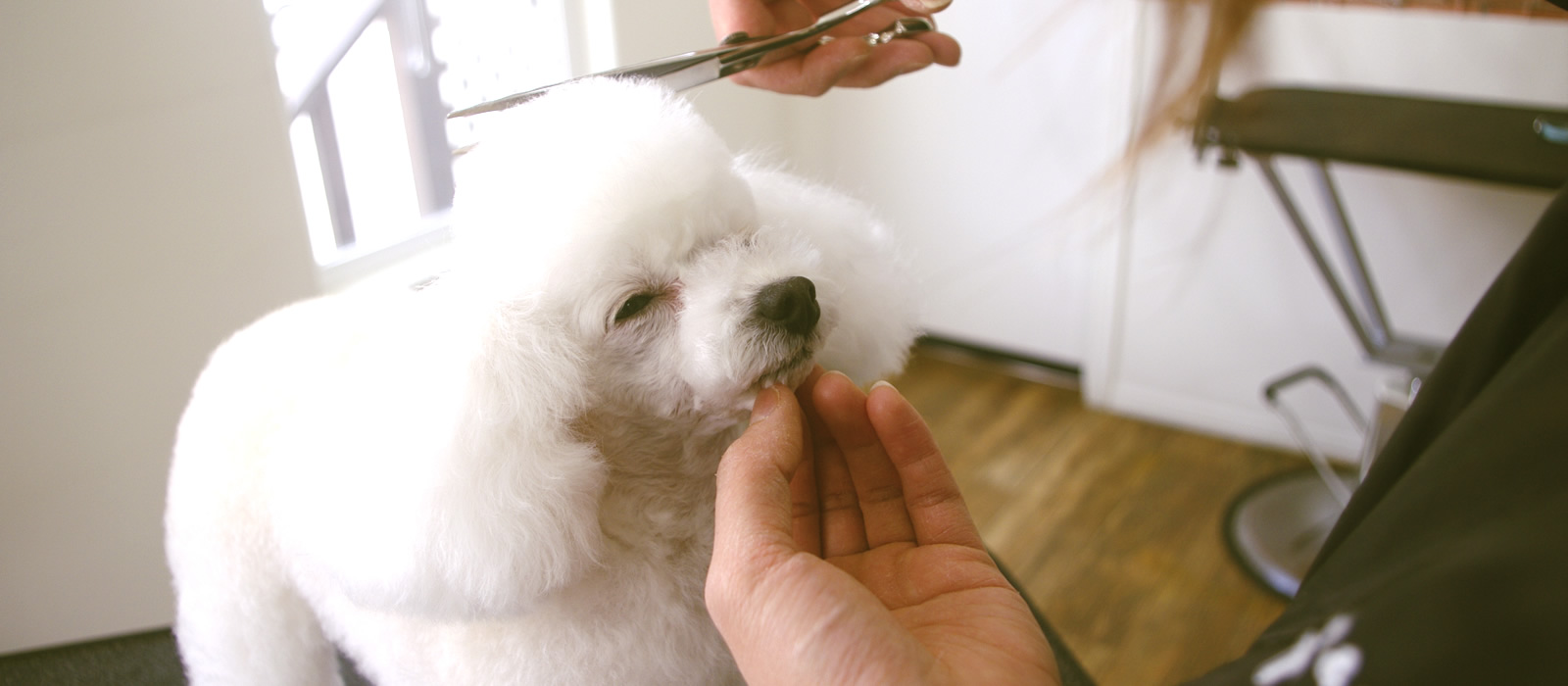 ペットサロンＲ