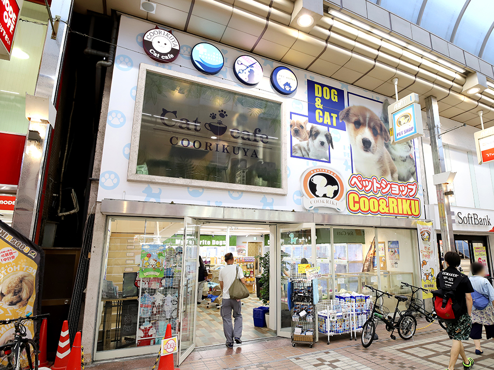 海動物病院　武蔵小山往診所