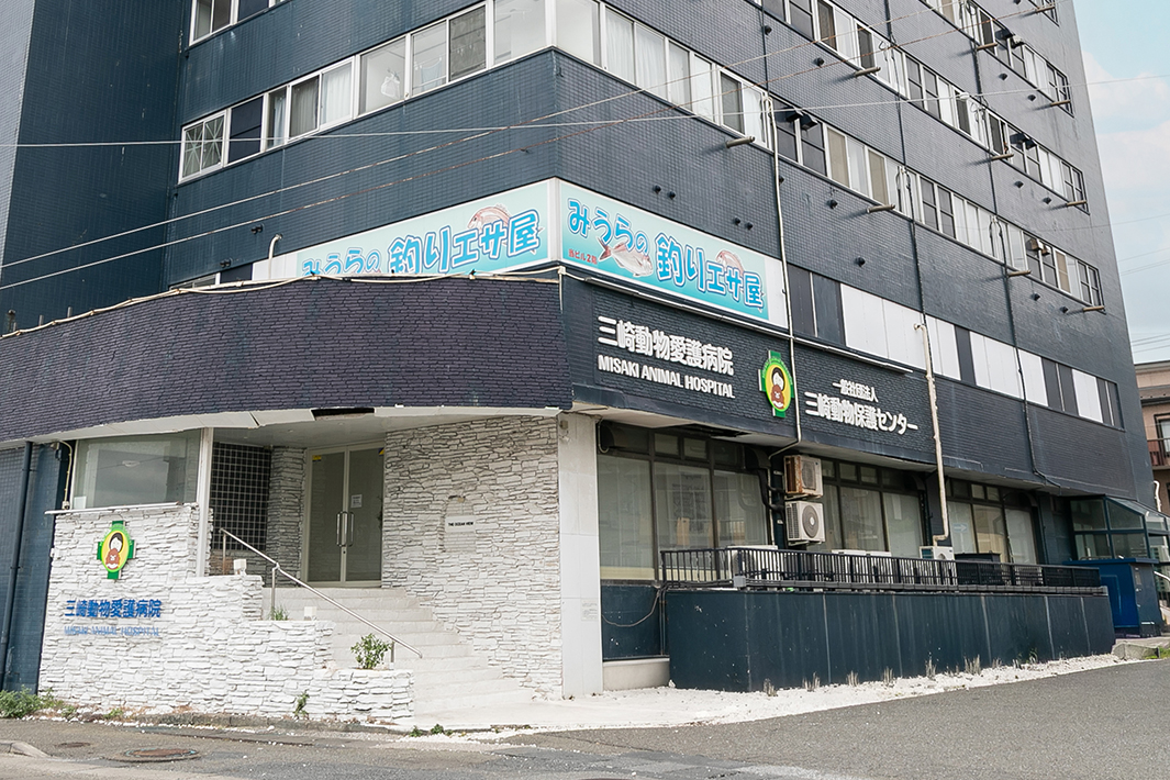三崎動物愛護病院