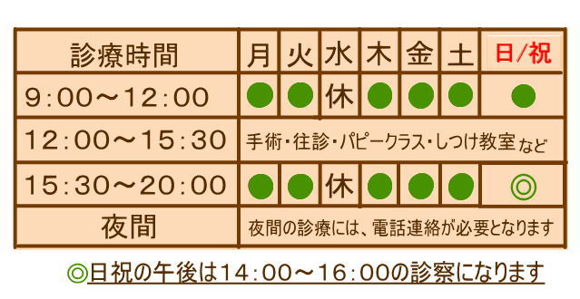 湘南藤沢ペットクリニック