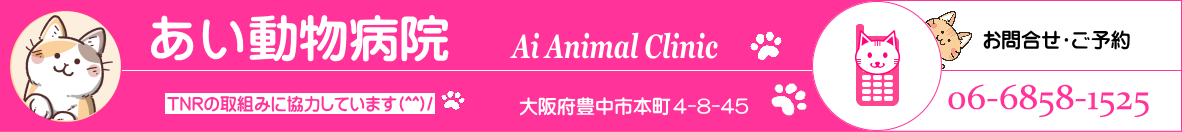 あい動物病院