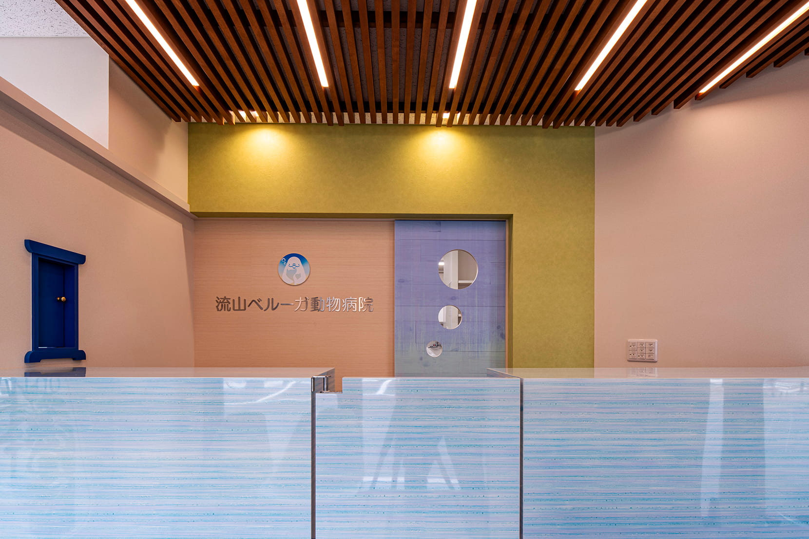 流山ベルーガ動物病院