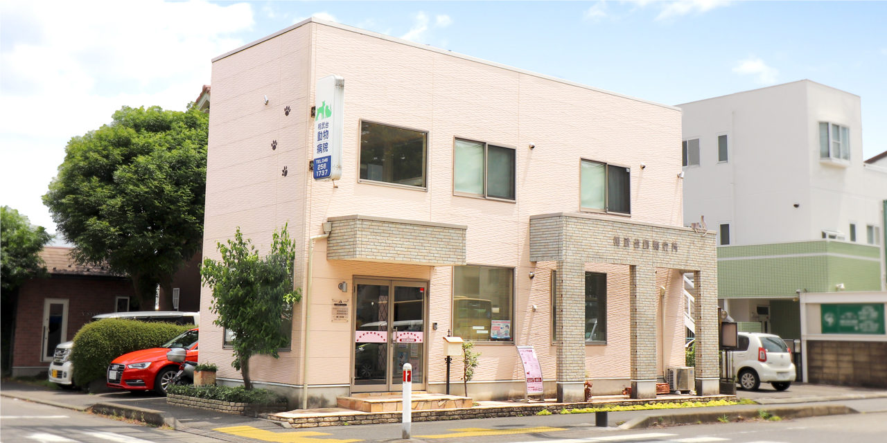 相武台動物病院