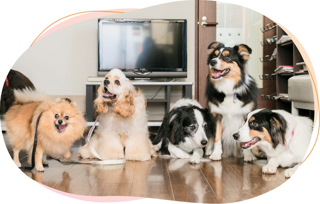 りょう動物病院