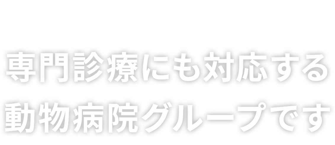 夕やけの丘動物病院