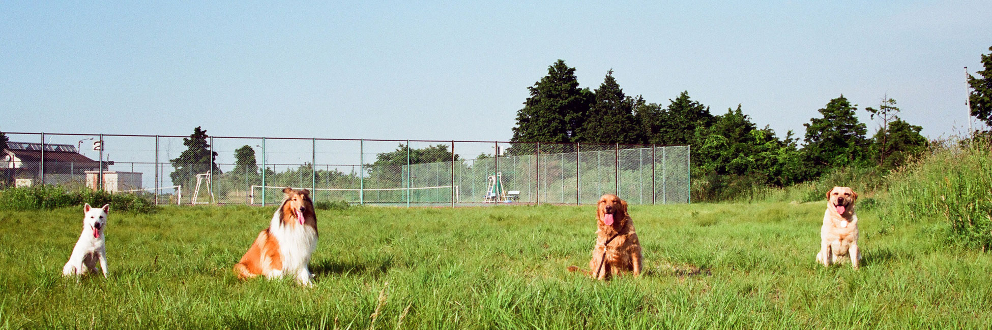 和田獣医科病院