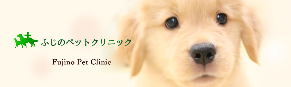 ふじのペットクリニック
