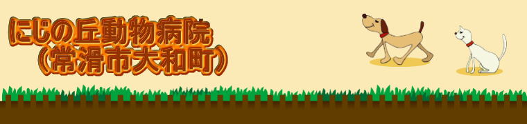 にじの丘動物病院