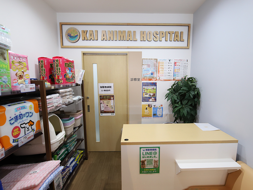 海動物病院　江の島往診所