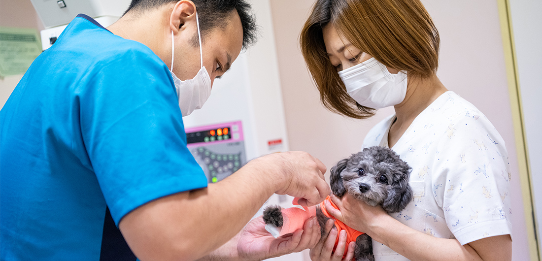 アニマルメディカルセンター