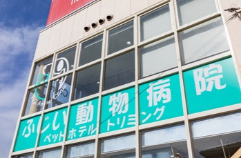 ふじい動物病院