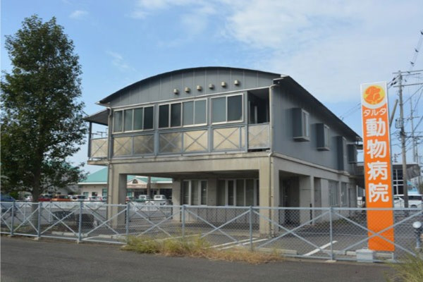 タルタ動物病院