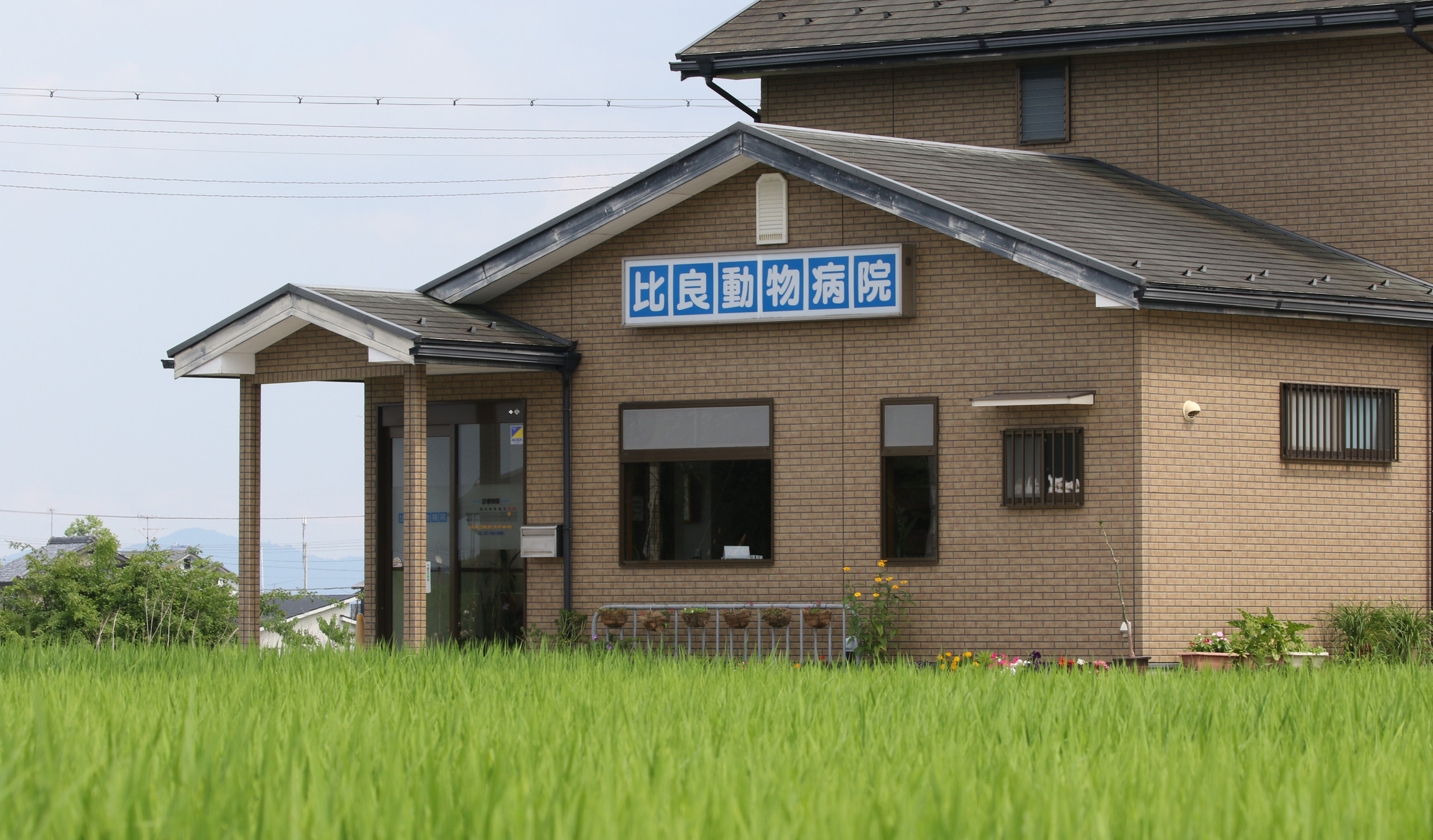 比良動物病院