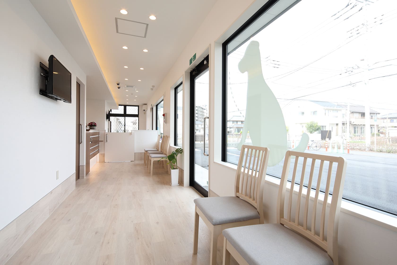 もりの動物病院