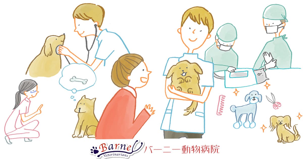 バーニー動物病院