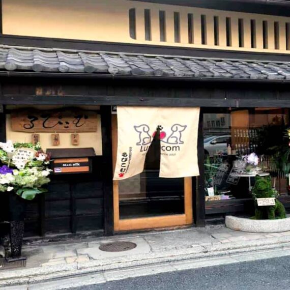 るぴこむ 京町家の「わんこのお宿・幼稚園」