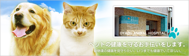 おおやぶ動物病院