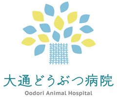 大通どうぶつ病院