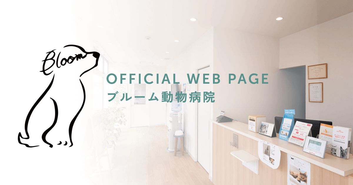 ブルーム動物病院