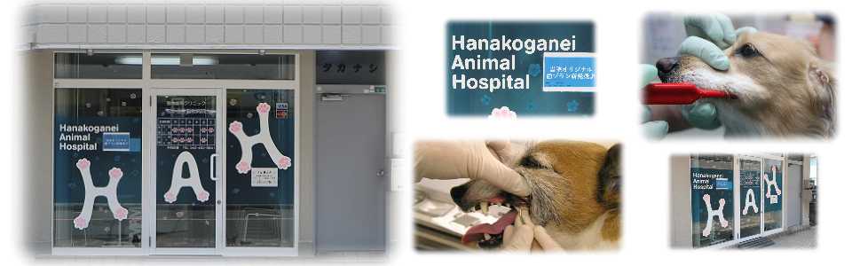 花小金井動物病院