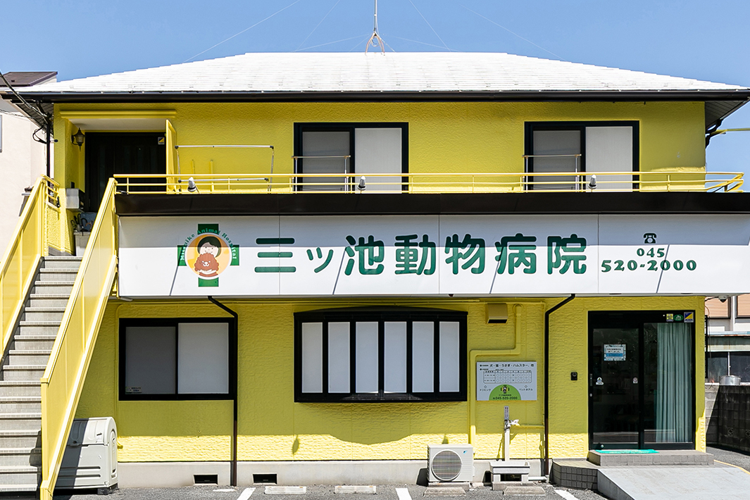 三ッ池動物病院
