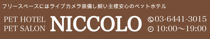 赤坂のペットホテル・ペットサロン ニッコロ