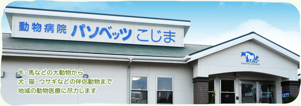 動物病院　パソベッツこじま