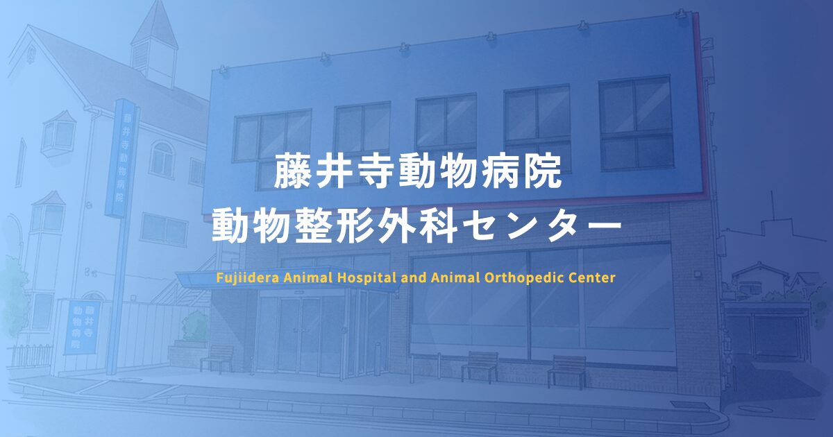 藤井寺動物病院