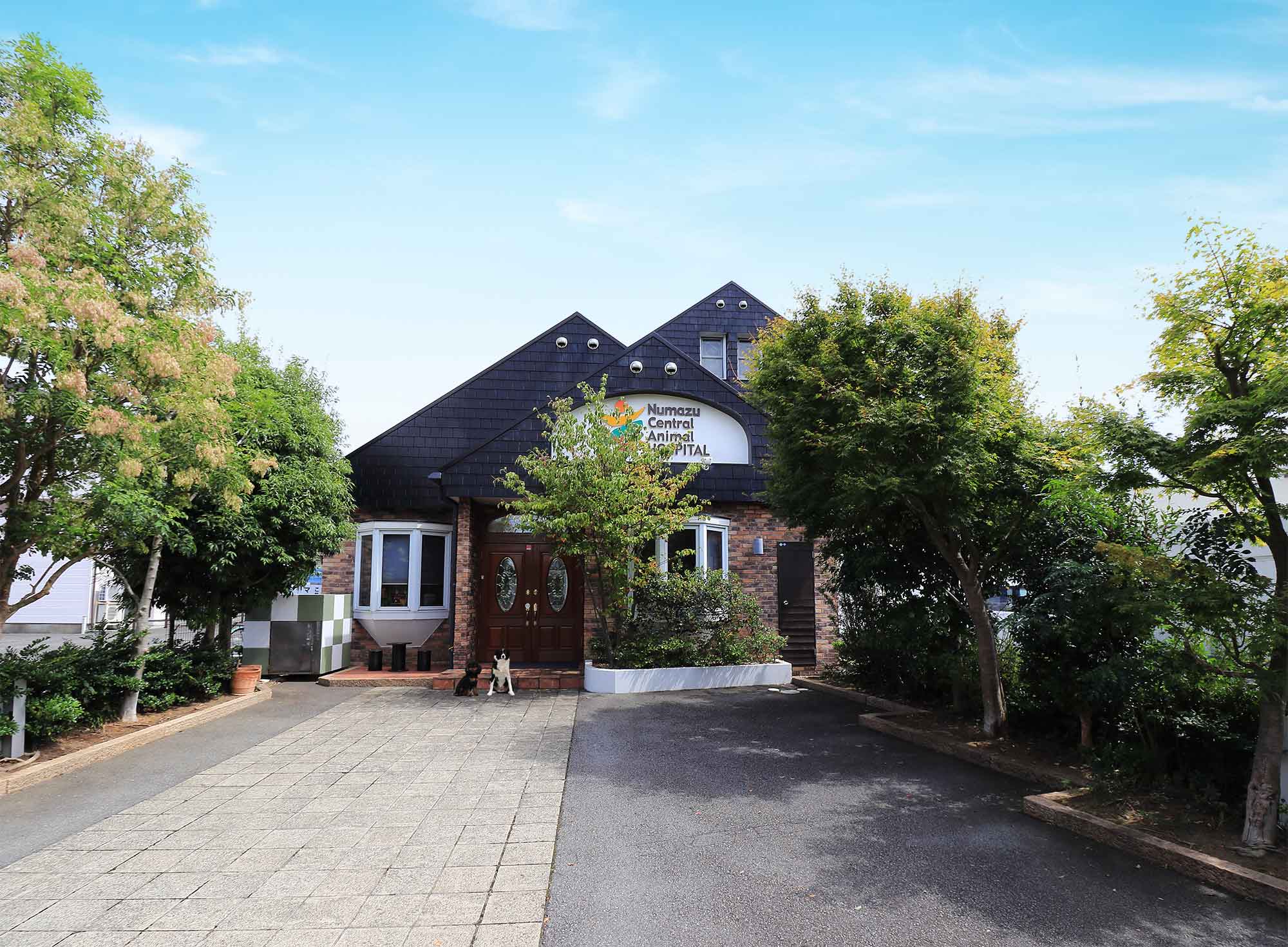 沼津中央動物病院