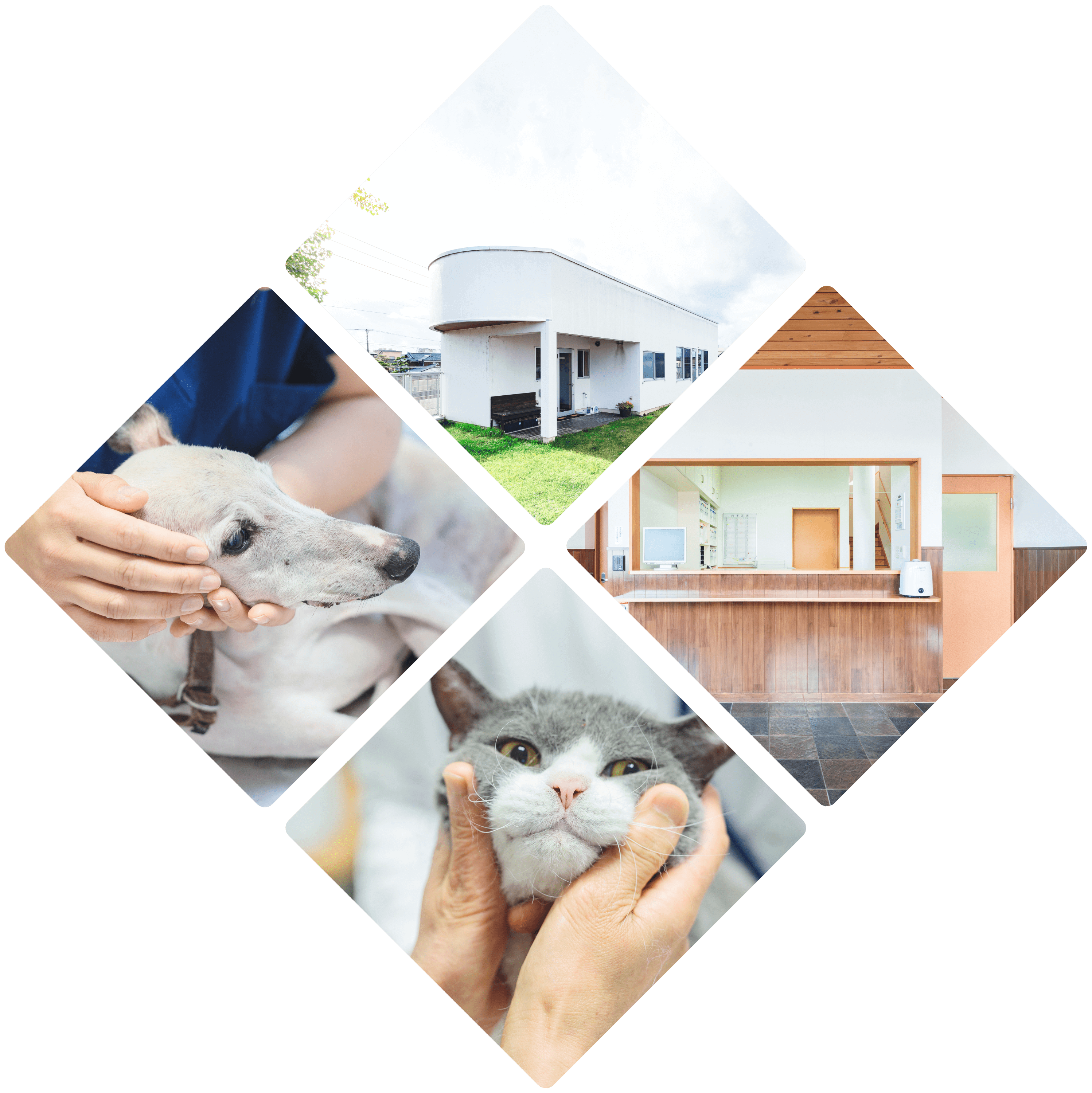 あたご動物病院