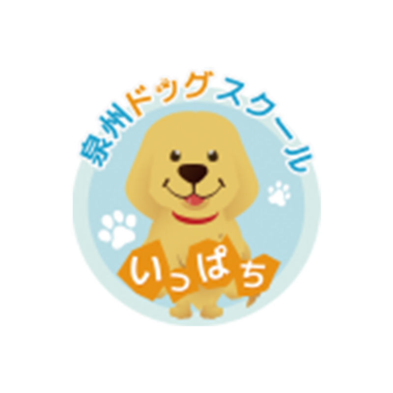 泉州ドッグスクール　いっぱち