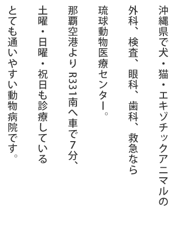 琉球動物医療センター