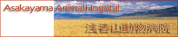 浅香山動物病院