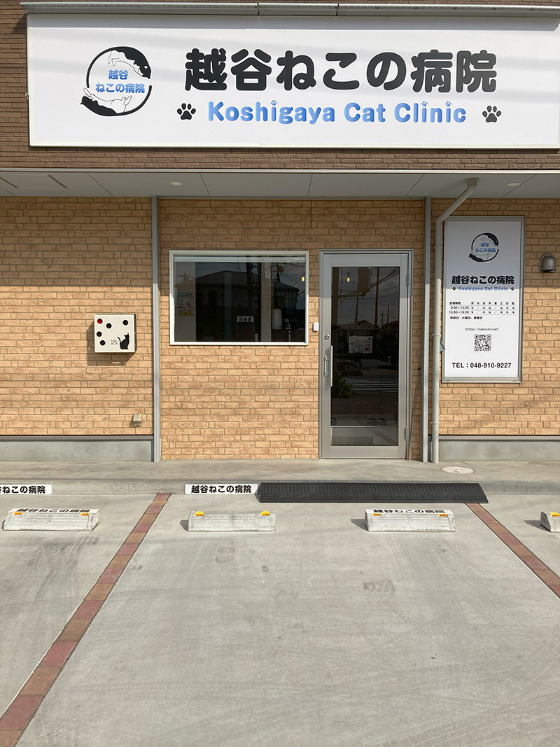 越谷ねこの病院