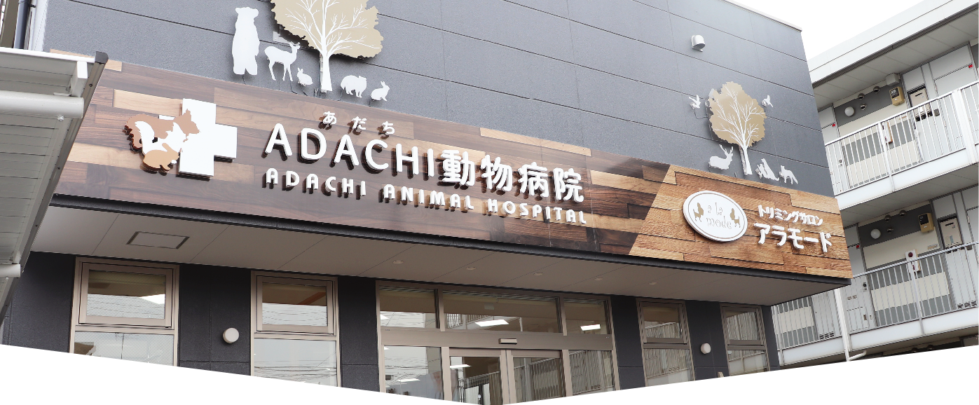 ADACHI動物病院