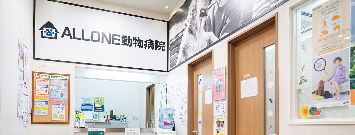 ALLONE動物病院 あざみ野病院