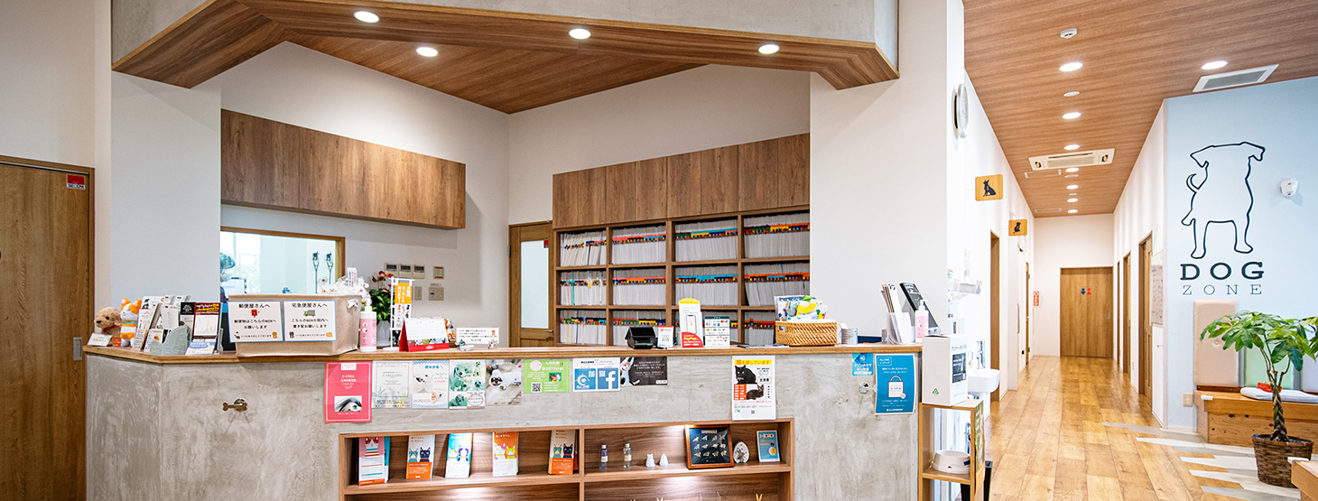 ALLONE八王子動物医療センター