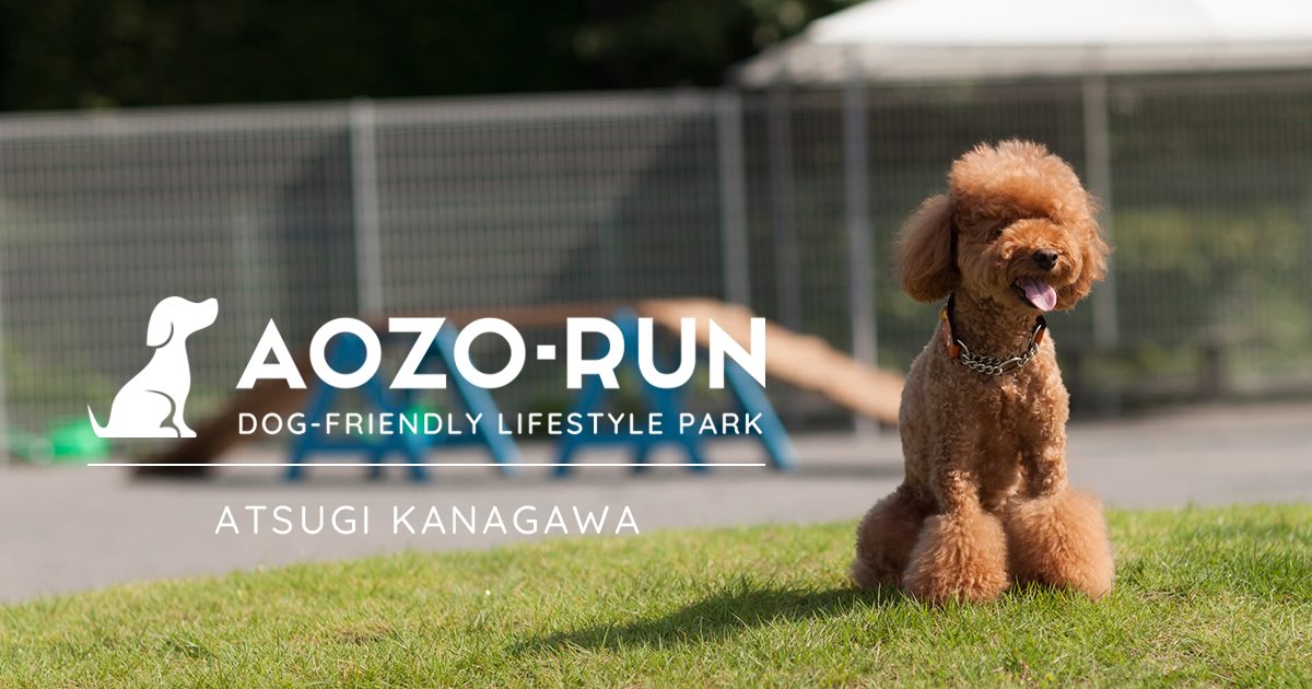 ドッグレジャーランド「AOZO－RUN」