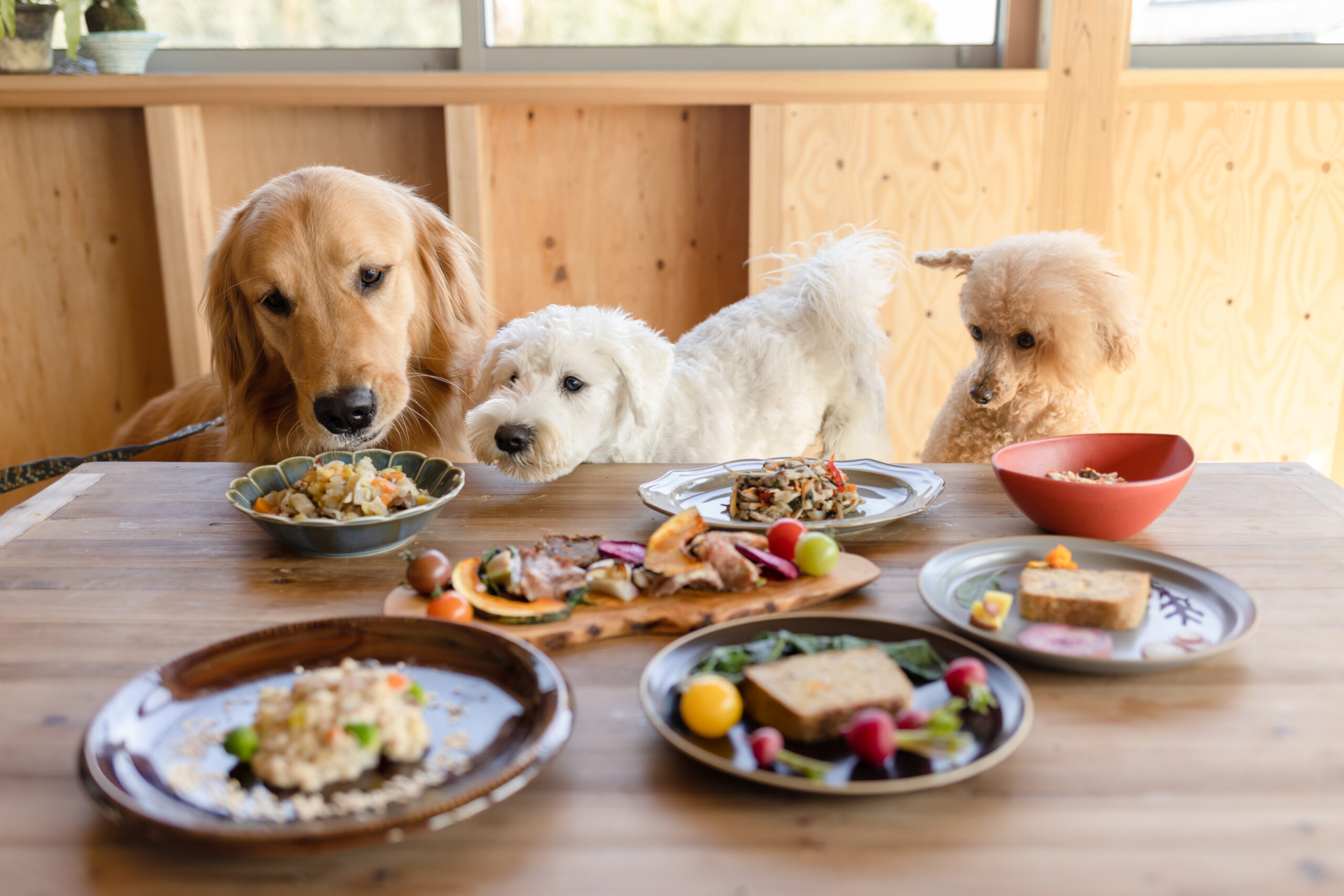 Alegrias-アレグリ...