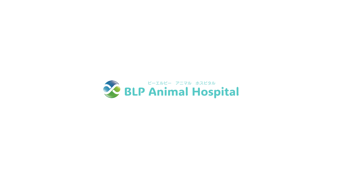 BLP Animal Hospital（ビーエルピーアニマルホスピタル）