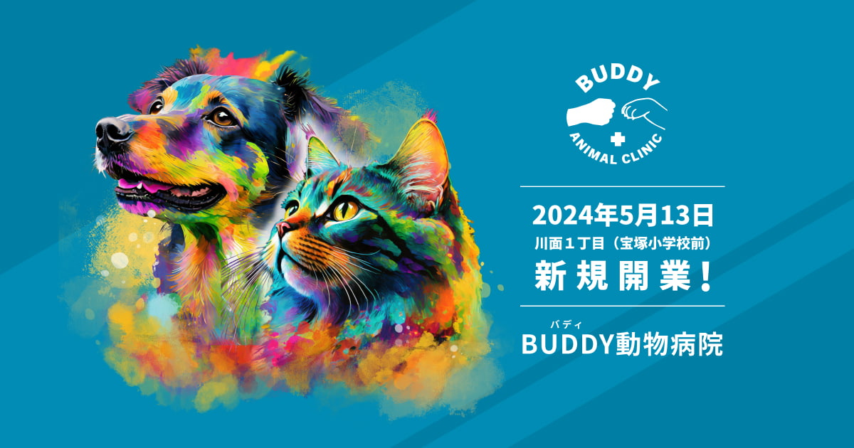BUDDY（バディ）動物病院