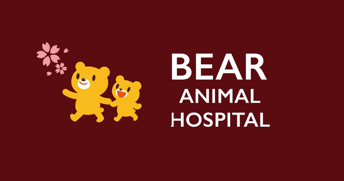 Bear動物病院