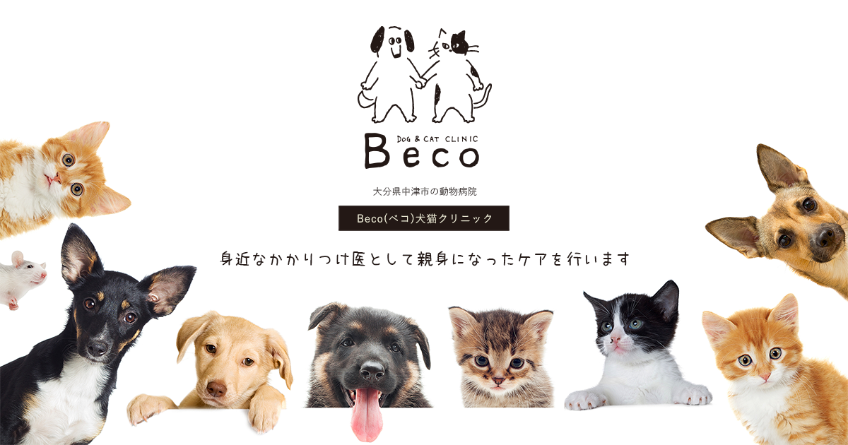 Beco犬猫クリニック