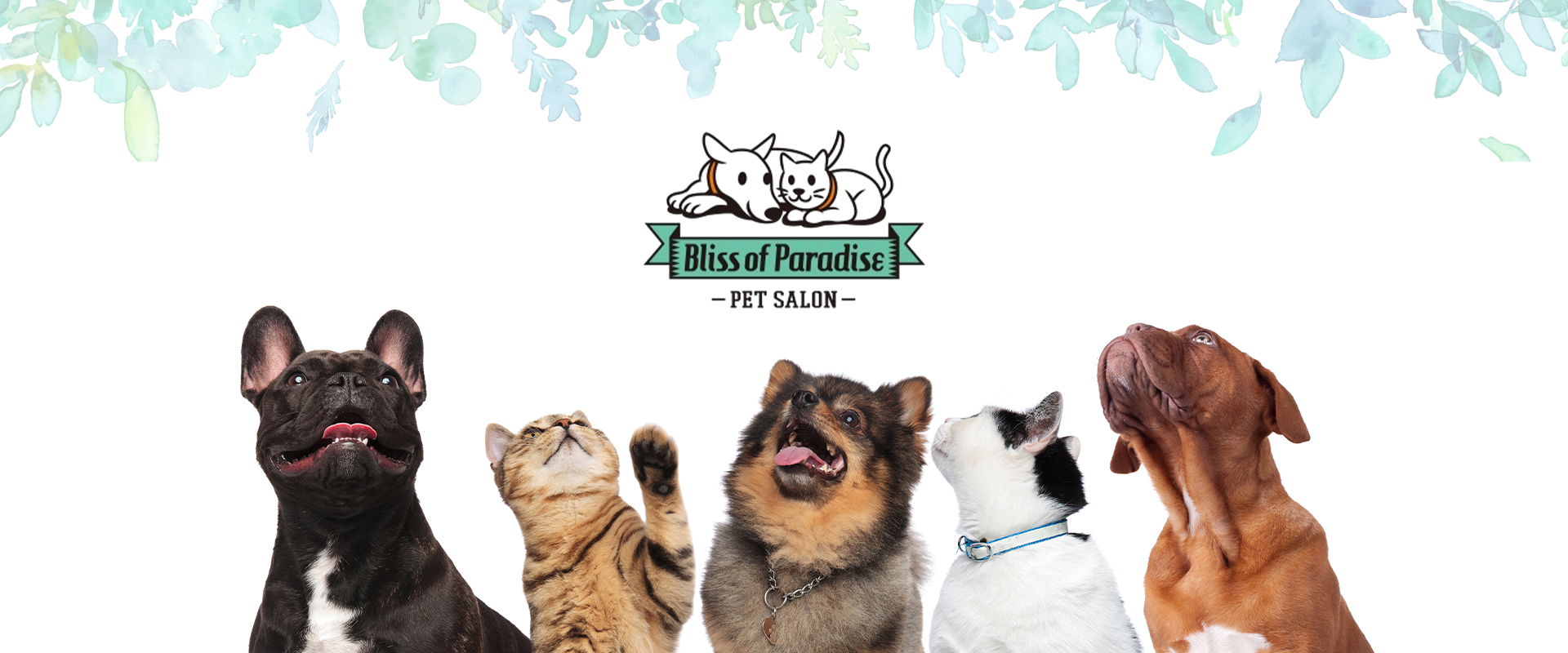 ペットサロンBliss...